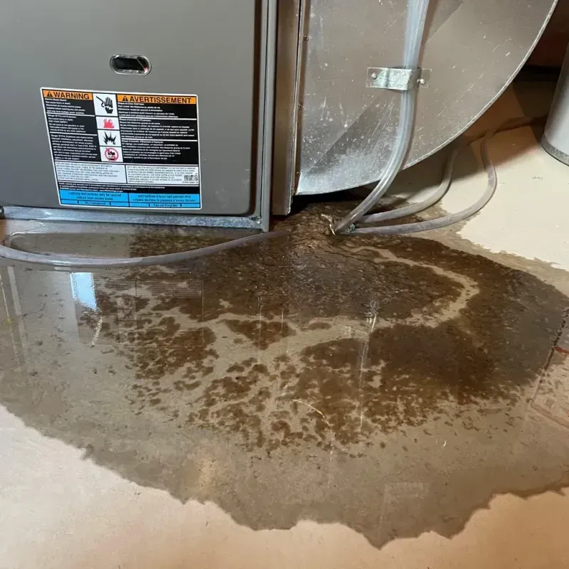 Appliance Leak Cleanup in Edgar County, IL